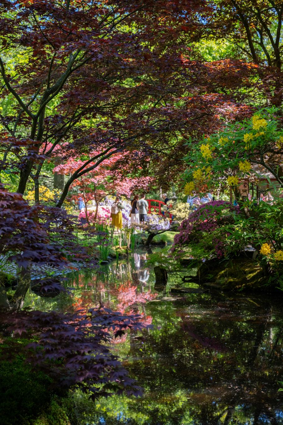 Omgeving_JapanseTuin