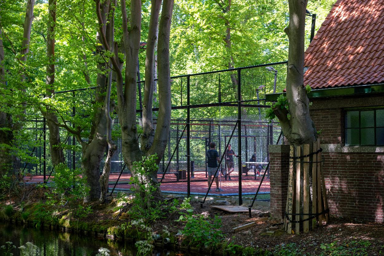 Omgeving_Tennis